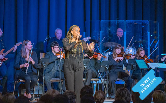 Tina Turner Symphonic